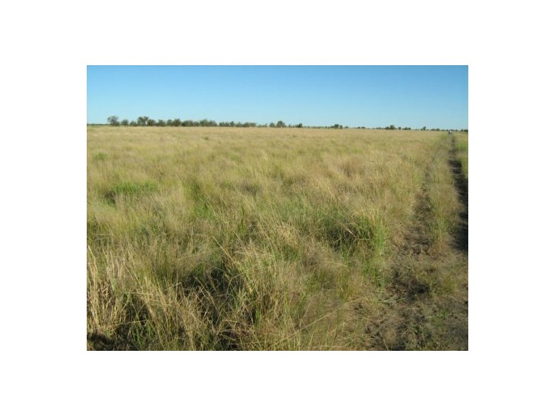 Killarney, Brewarrina NSW 2839