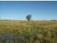 Killarney, Brewarrina NSW 2839