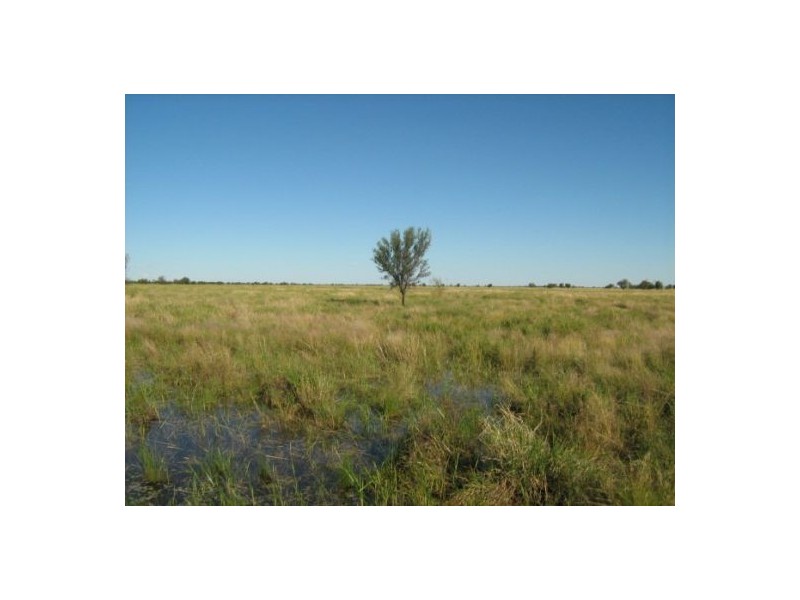 Killarney, Brewarrina NSW 2839