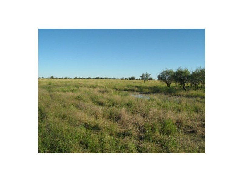 Killarney, Brewarrina NSW 2839