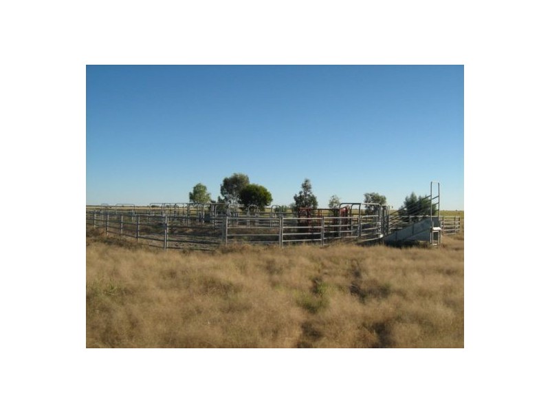 Killarney, Brewarrina NSW 2839
