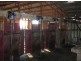 Killarney, Brewarrina NSW 2839
