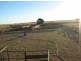 Killarney, Brewarrina NSW 2839