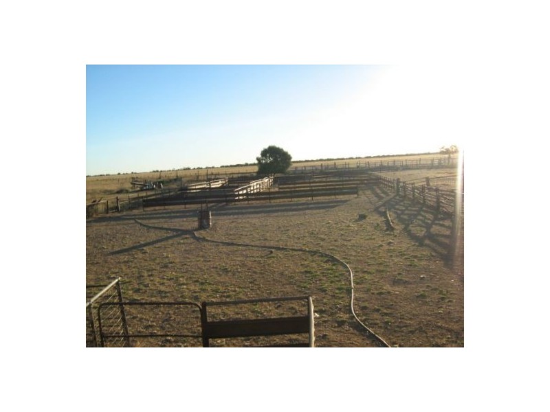 Killarney, Brewarrina NSW 2839