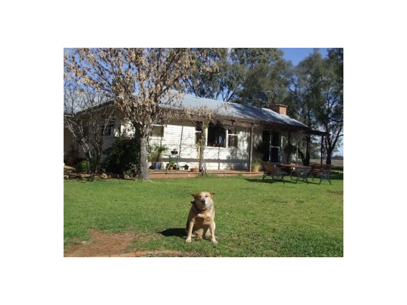 “North Gunnible”, Gunnedah NSW 2380