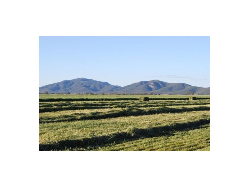 “North Gunnible”, Gunnedah NSW 2380