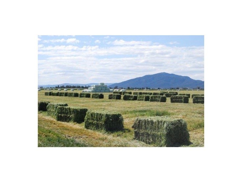 “North Gunnible”, Gunnedah NSW 2380