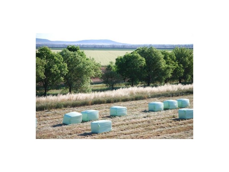 “North Gunnible”, Gunnedah NSW 2380