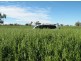“Baroneal”, Walgett NSW 2832