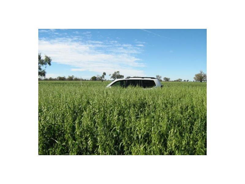 “Baroneal”, Walgett NSW 2832