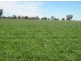 “Baroneal”, Walgett NSW 2832