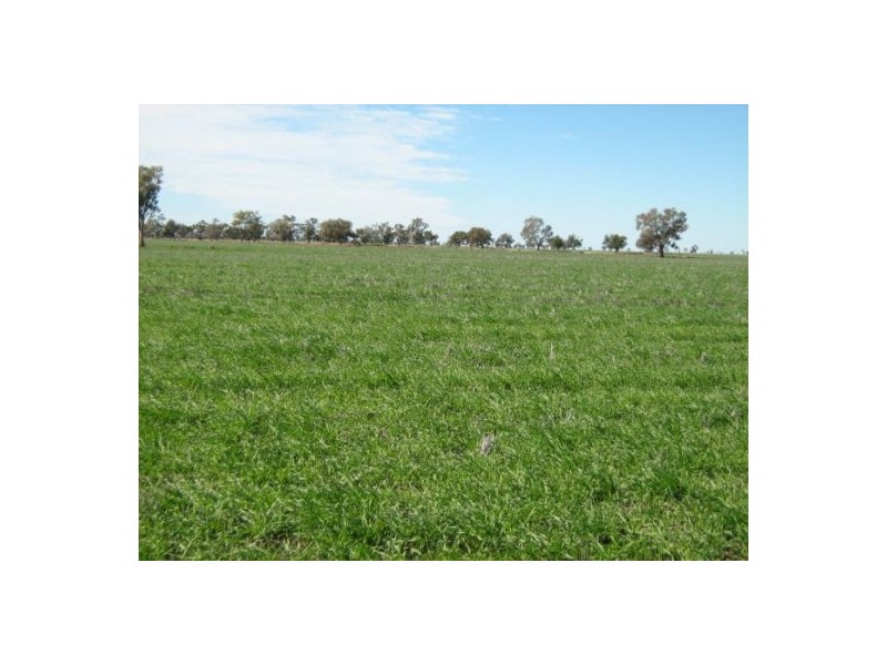 “Baroneal”, Walgett NSW 2832