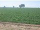 “Baroneal”, Walgett NSW 2832