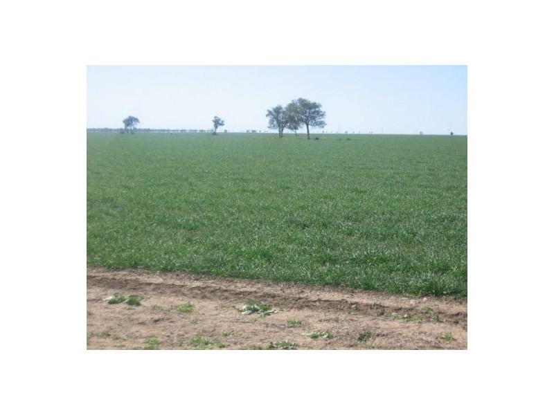 “Baroneal”, Walgett NSW 2832