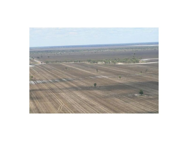“Baroneal”, Walgett NSW 2832