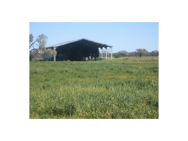 “Baroneal”, Walgett NSW 2832
