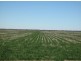 “Baroneal”, Walgett NSW 2832