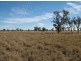 “Baroneal”, Walgett NSW 2832