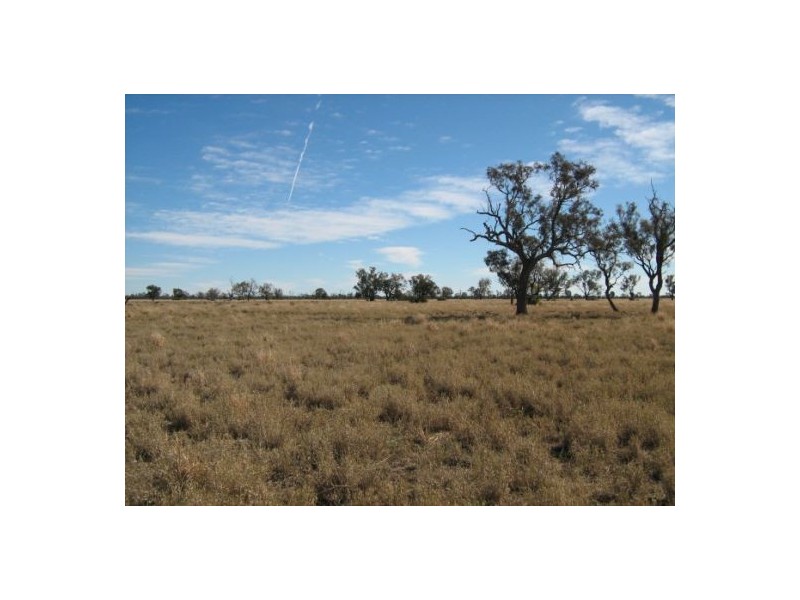 “Baroneal”, Walgett NSW 2832