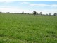 “Baroneal”, Walgett NSW 2832