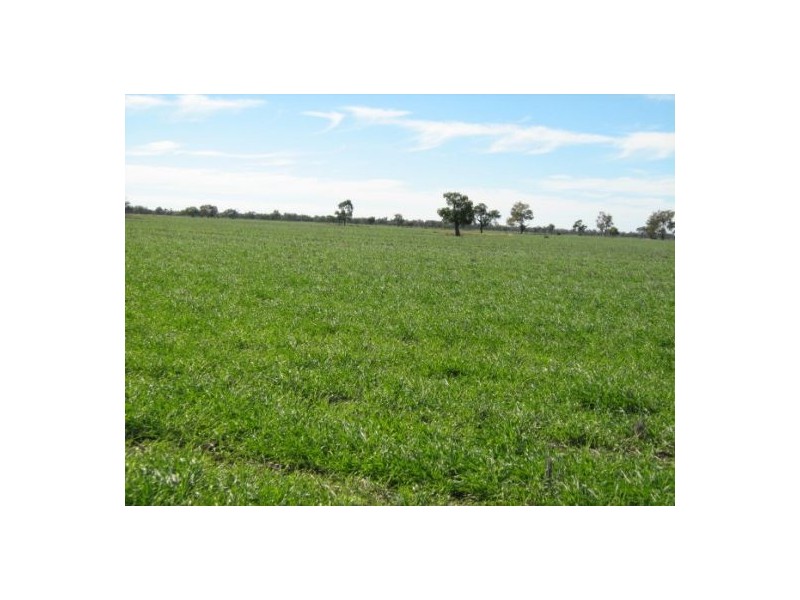 “Baroneal”, Walgett NSW 2832