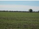 “Baroneal”, Walgett NSW 2832