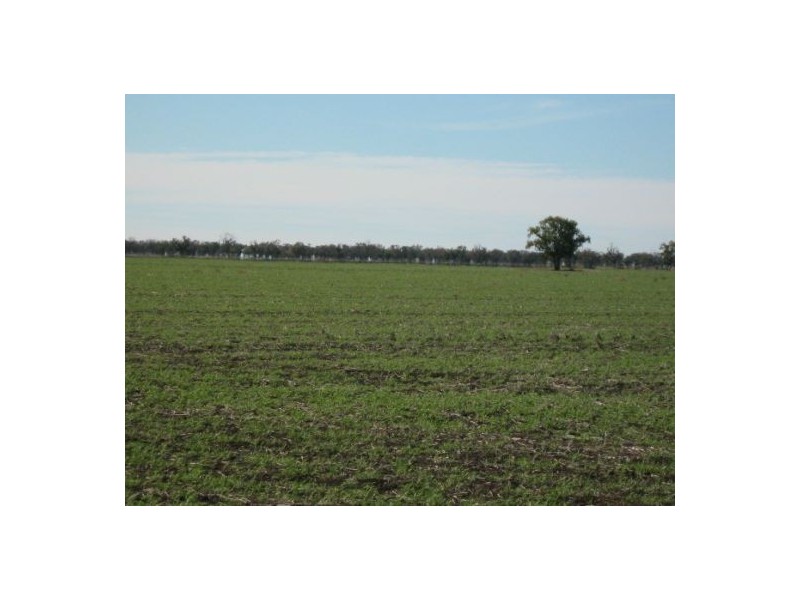 “Baroneal”, Walgett NSW 2832