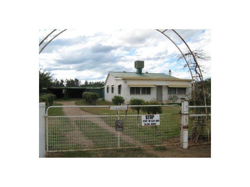 “Wongabeena”, Biniguy NSW 2399