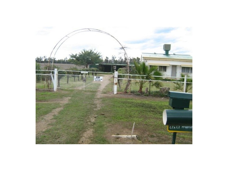 “Wongabeena”, Biniguy NSW 2399