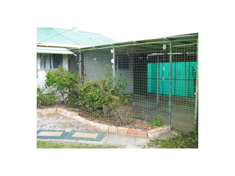 “Wongabeena”, Biniguy NSW 2399
