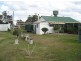 “Wongabeena”, Biniguy NSW 2399