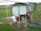 “Wongabeena”, Biniguy NSW 2399