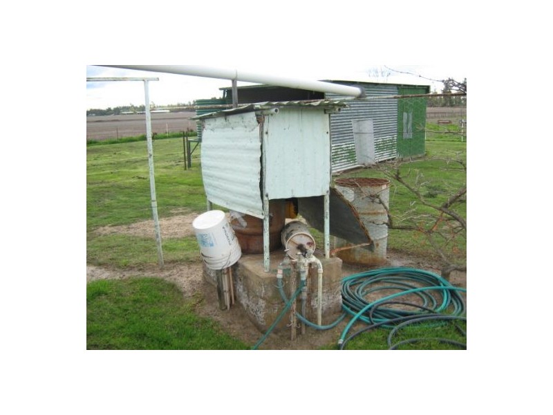 “Wongabeena”, Biniguy NSW 2399