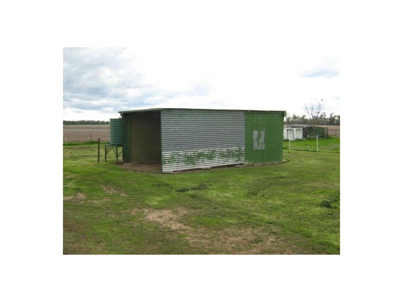 “Wongabeena”, Biniguy NSW 2399