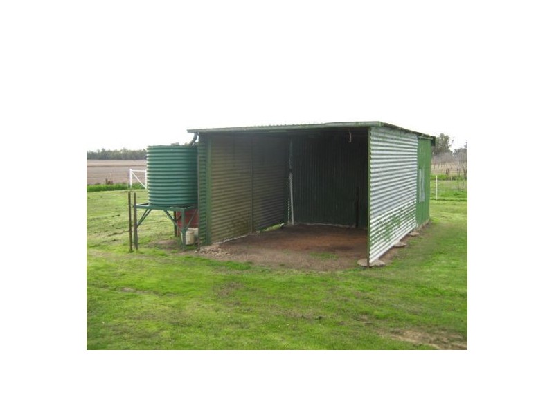 “Wongabeena”, Biniguy NSW 2399