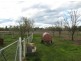 “Wongabeena”, Biniguy NSW 2399