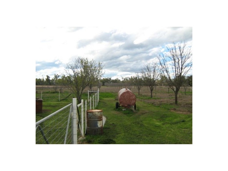 “Wongabeena”, Biniguy NSW 2399