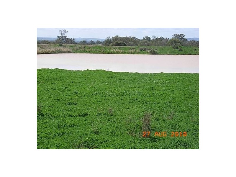 “Talyntire”, Gravesend NSW 2401