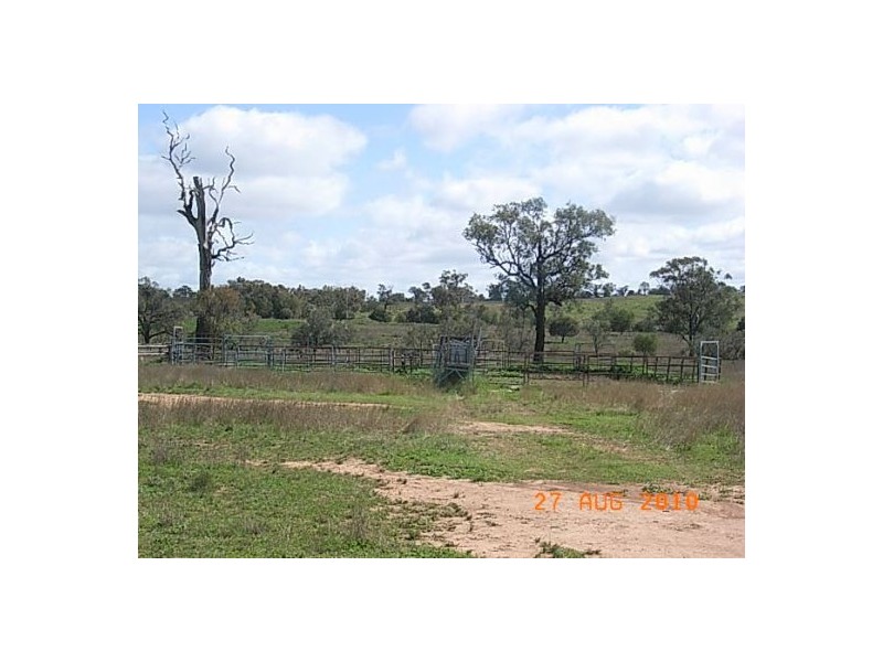 “Talyntire”, Gravesend NSW 2401