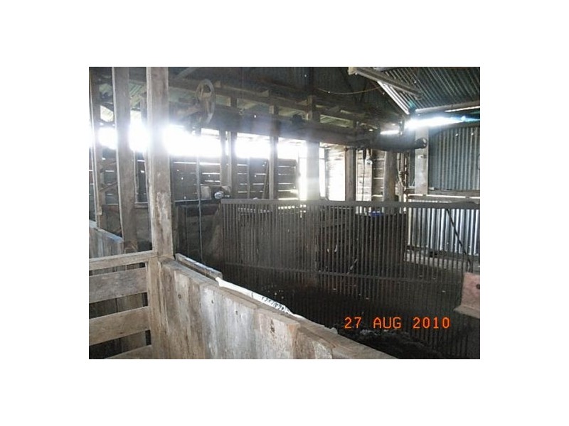 “Talyntire”, Gravesend NSW 2401