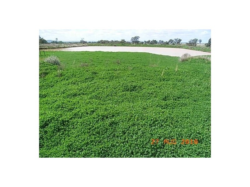 “Talyntire”, Gravesend NSW 2401