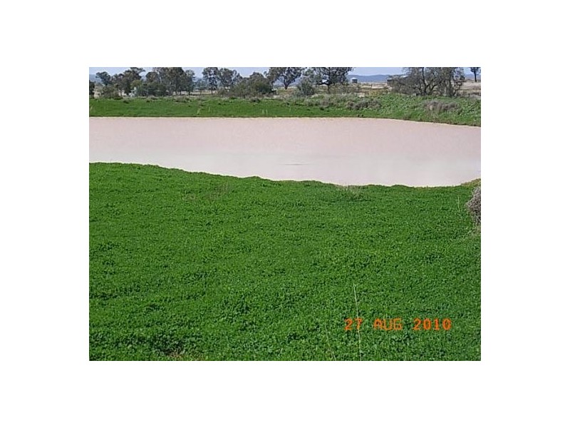 “Talyntire”, Gravesend NSW 2401