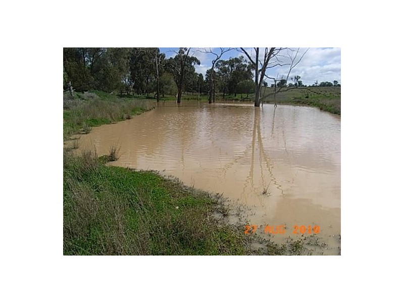 “Talyntire”, Gravesend NSW 2401