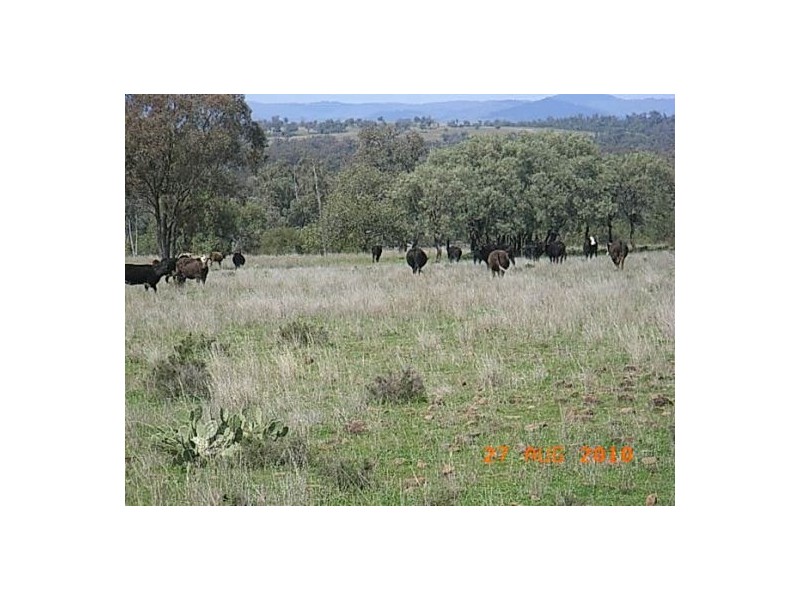 “Talyntire”, Gravesend NSW 2401