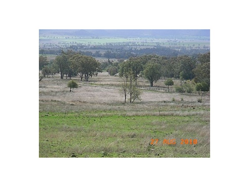 “Talyntire”, Gravesend NSW 2401