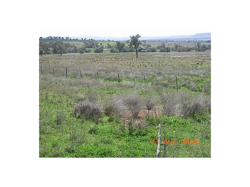 “Talyntire”, Gravesend NSW 2401