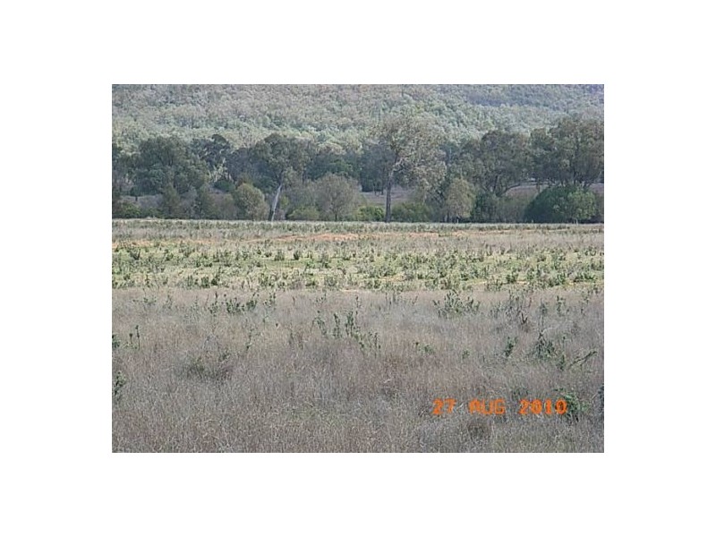 “Talyntire”, Gravesend NSW 2401