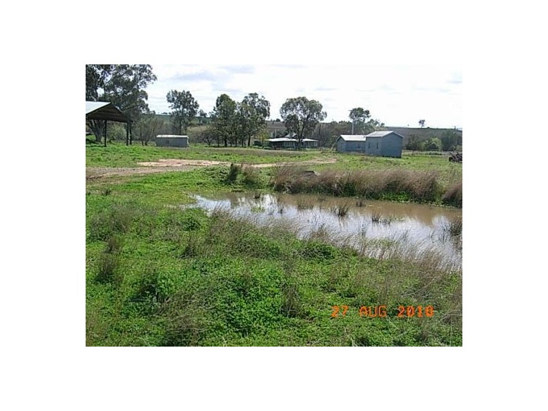 “Talyntire”, Gravesend NSW 2401