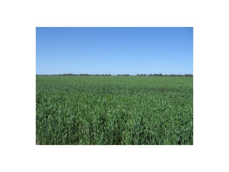 “Broadwater”, Moree NSW 2400