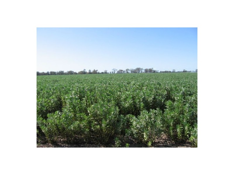 “Broadwater”, Moree NSW 2400